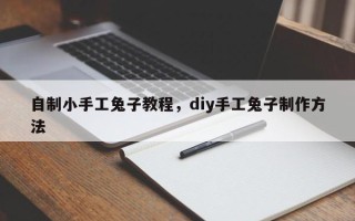 自制小手工兔子教程，diy手工兔子制作方法