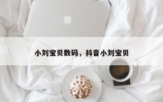 小刘宝贝数码，抖音小刘宝贝
