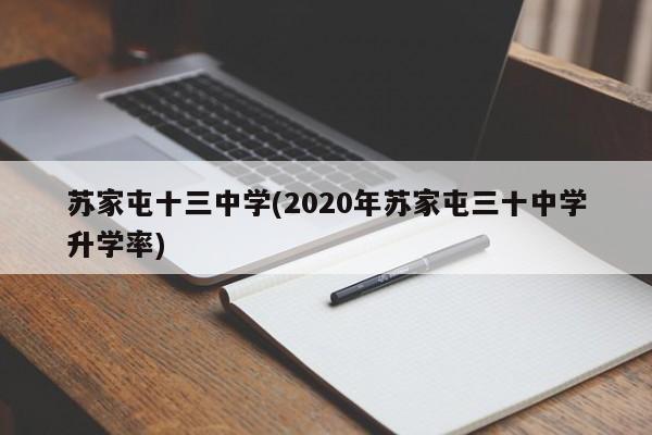 苏家屯十三中学(2020年苏家屯三十中学升学率)