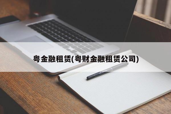 粤金融租赁(粤财金融租赁公司)